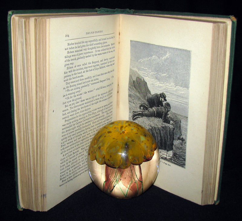 1875 Rare Victorian Book - JULES VERNE - The FUR COUNTRY or Seventy Degrees North Latitude