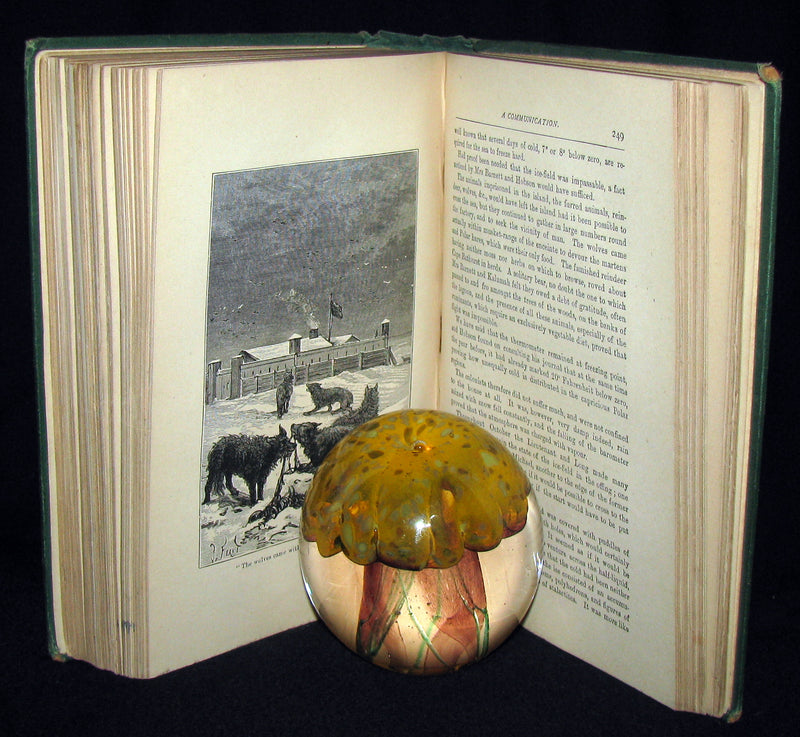 1875 Rare Victorian Book - JULES VERNE - The FUR COUNTRY or Seventy Degrees North Latitude