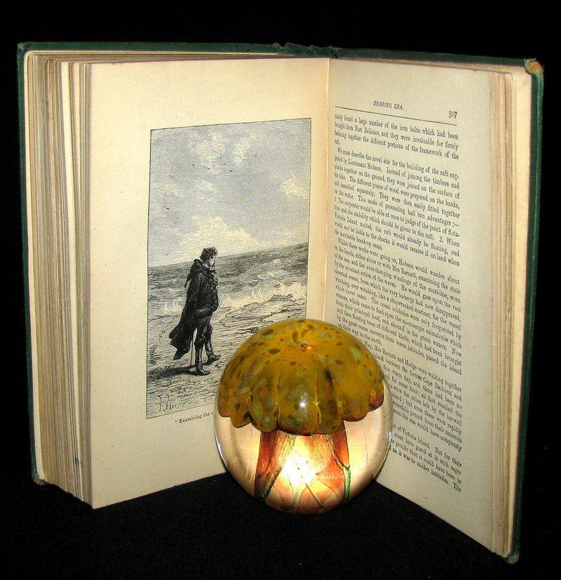 1875 Rare Victorian Book - JULES VERNE - The FUR COUNTRY or Seventy Degrees North Latitude