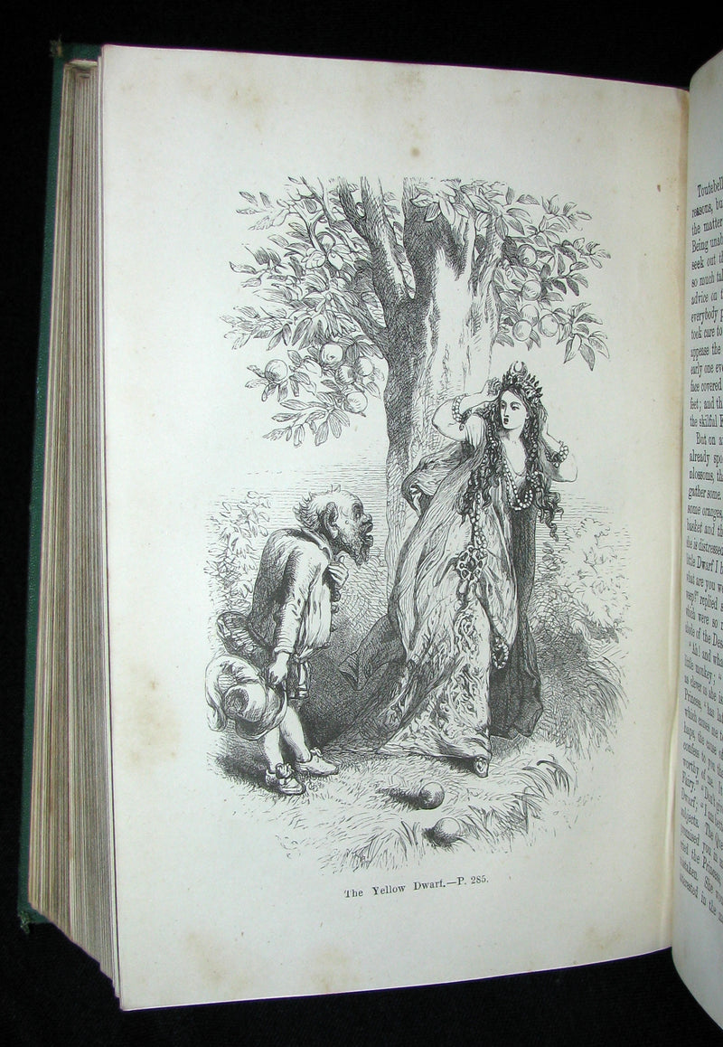 1881 Rare Victorian Book - Fairy Tales by The Countess d'Aulnoy