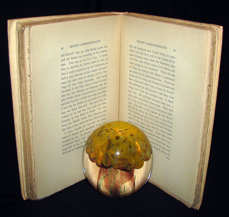 1893 Scarce Victorian Book - The Secret Commonwealth of Elves, Fauns & Fairies by Robert Kirk