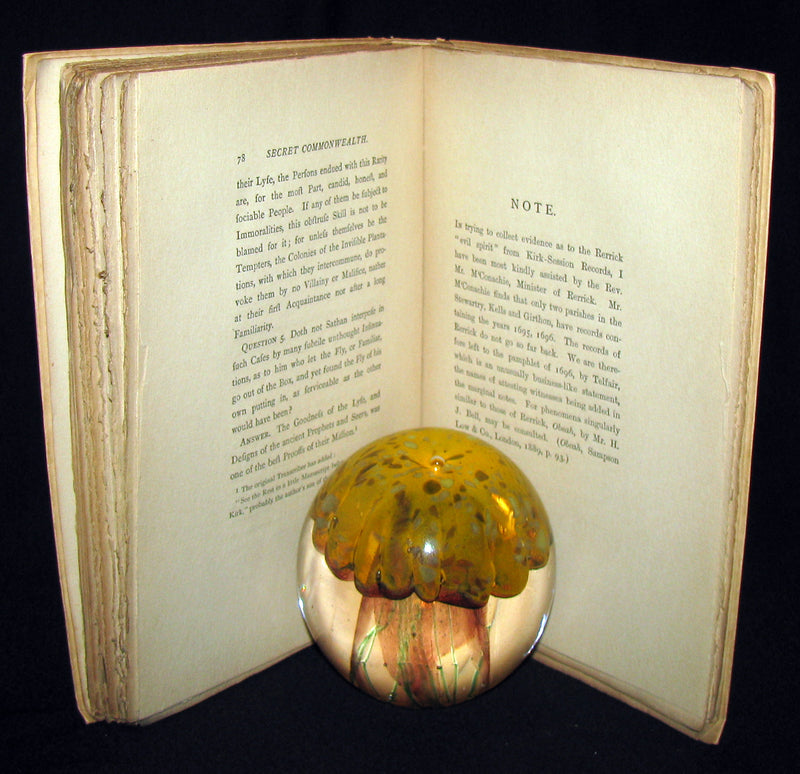 1893 Scarce Victorian Book - The Secret Commonwealth of Elves, Fauns & Fairies by Robert Kirk