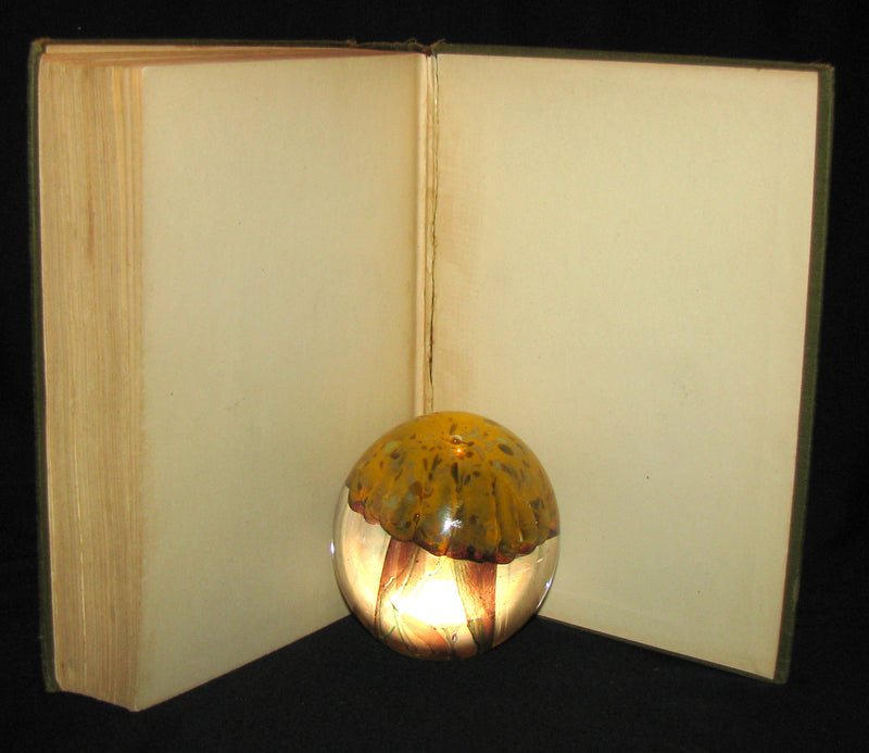 1911 Rare First Edition - The SECRET GARDEN by Frances Hodgson Burnett.