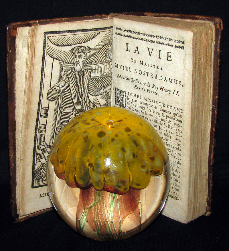 1689 Scarce French Book ~ NOSTRADAMUS ~ Les Vrayes Centuries et Propheties.