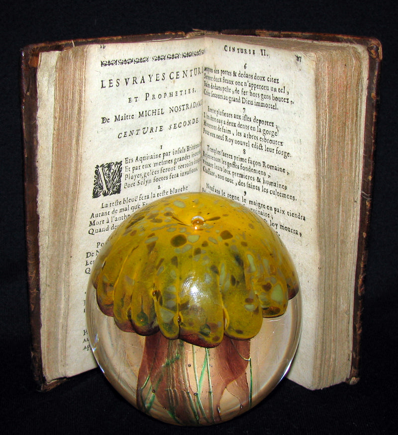 1689 Scarce French Book ~ NOSTRADAMUS ~ Les Vrayes Centuries et Propheties.