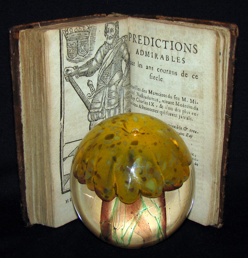 1689 Scarce French Book ~ NOSTRADAMUS ~ Les Vrayes Centuries et Propheties.