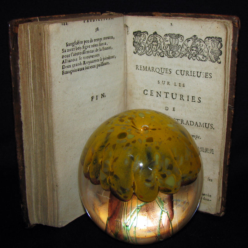 1689 Scarce French Book ~ NOSTRADAMUS ~ Les Vrayes Centuries et Propheties.