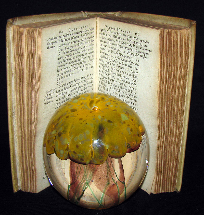 1680 Rare French Book -  History of Holland and other United Provinces