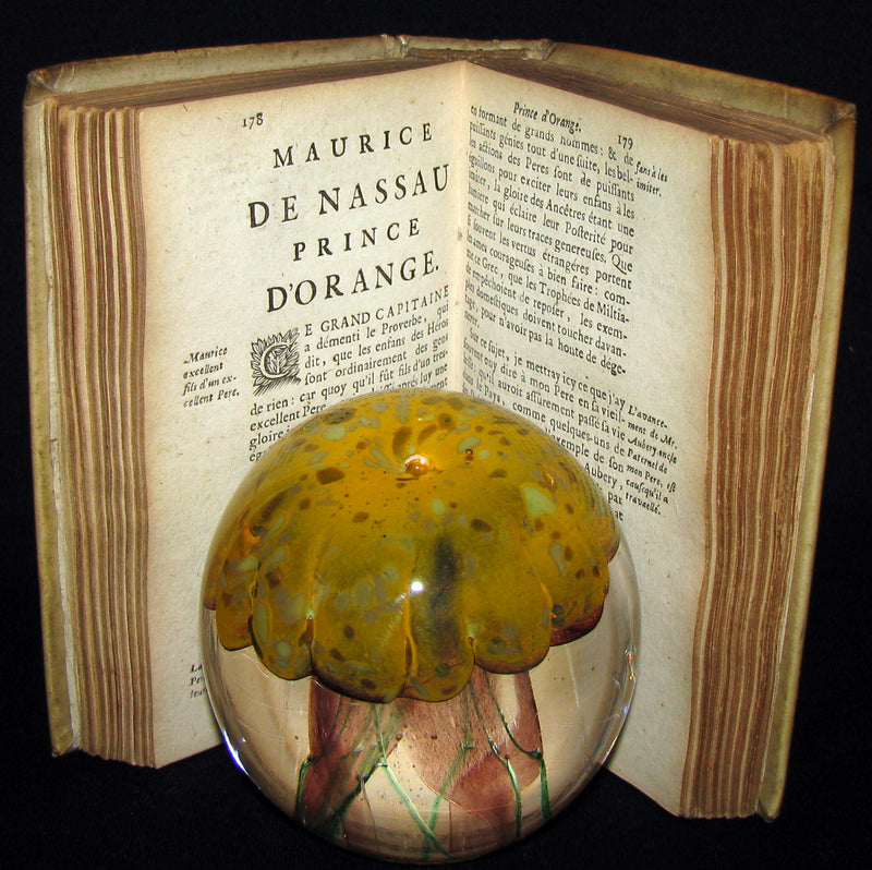 1680 Rare French Book -  History of Holland and other United Provinces