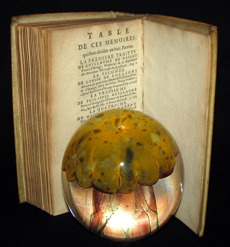 1680 Rare French Book -  History of Holland and other United Provinces