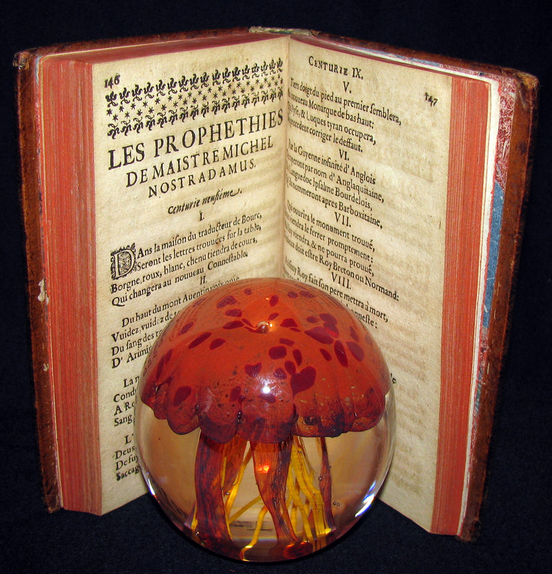 1689 Scarce French Book - NOSTRADAMUS, Les Vrayes Centuries et Propheties published by Volcker.