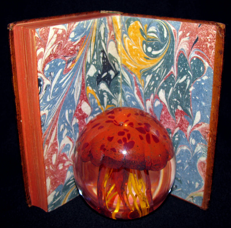 1689 Scarce French Book - NOSTRADAMUS, Les Vrayes Centuries et Propheties published by Volcker.