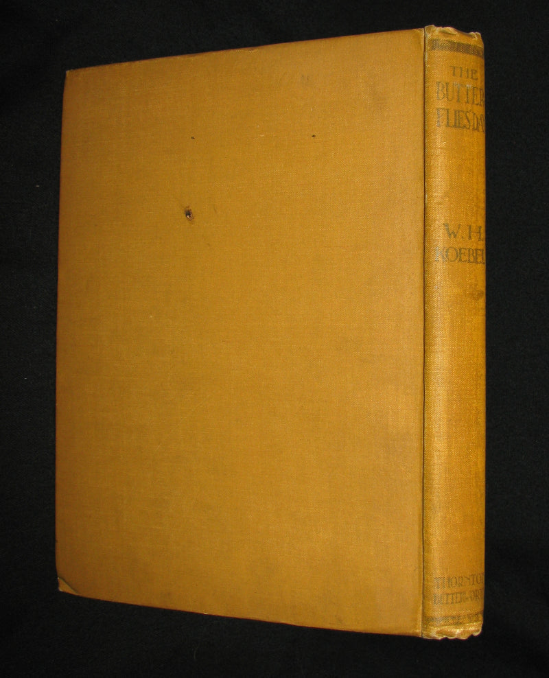 1921 Rare Book - The Butterflies' Day Illustrated by Hilda T. Miller. First Edition.