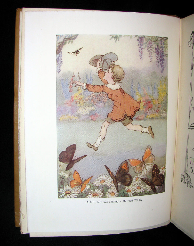 1921 Rare Book - The Butterflies' Day Illustrated by Hilda T. Miller. First Edition.