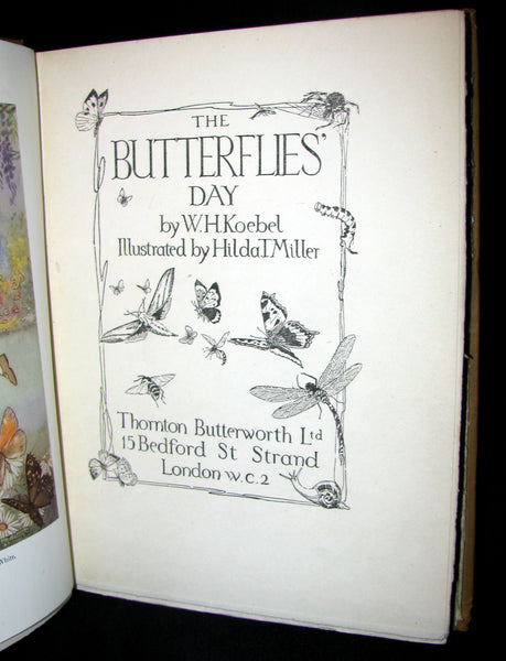 1921 Rare Book - The Butterflies' Day Illustrated by Hilda T. Miller. First Edition.