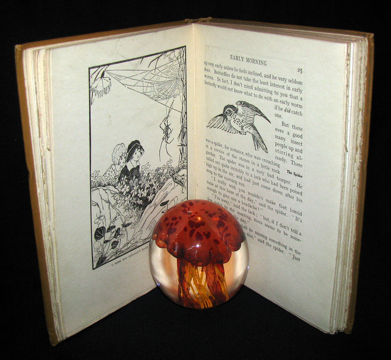 1921 Rare Book - The Butterflies' Day Illustrated by Hilda T. Miller. First Edition.