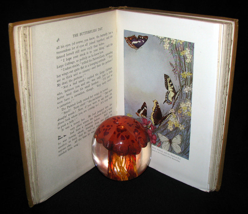 1921 Rare Book - The Butterflies' Day Illustrated by Hilda T. Miller. First Edition.