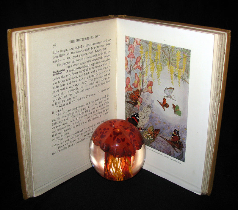 1921 Rare Book - The Butterflies' Day Illustrated by Hilda T. Miller. First Edition.