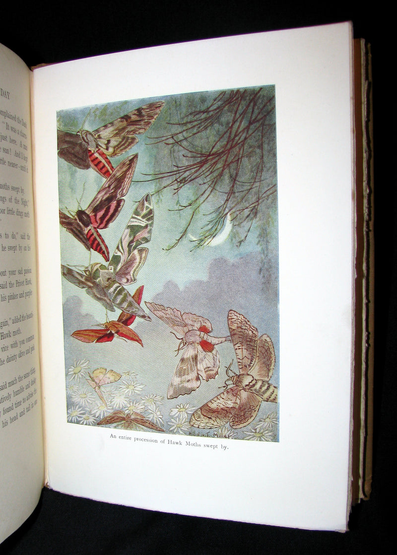 1921 Rare Book - The Butterflies' Day Illustrated by Hilda T. Miller. First Edition.
