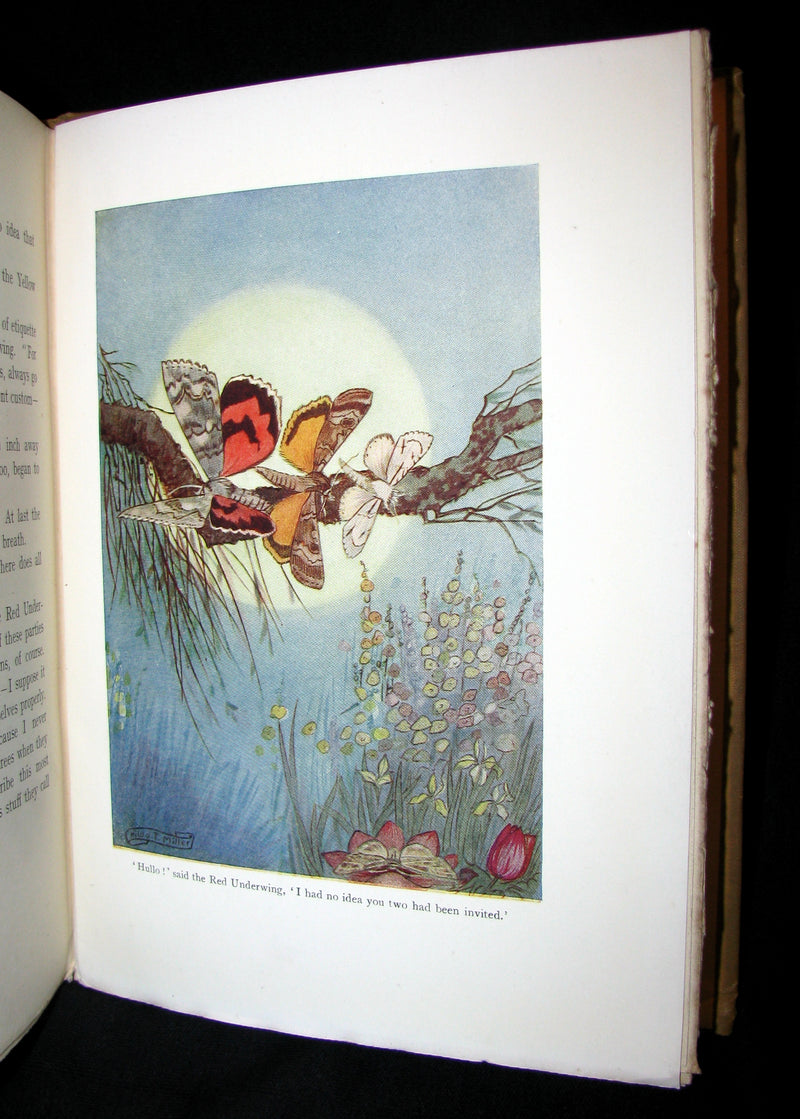 1921 Rare Book - The Butterflies' Day Illustrated by Hilda T. Miller. First Edition.