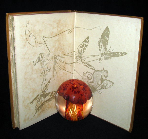 1921 Rare Book - The Butterflies' Day Illustrated by Hilda T. Miller. First Edition.