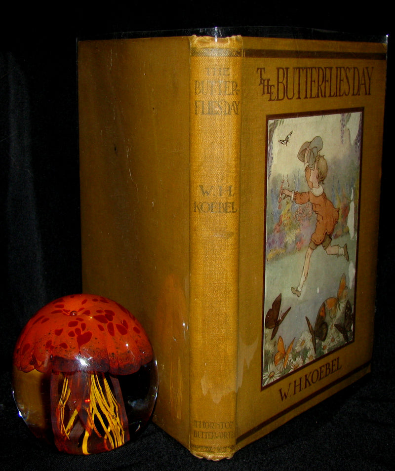 1921 Rare Book - The Butterflies' Day Illustrated by Hilda T. Miller. First Edition.