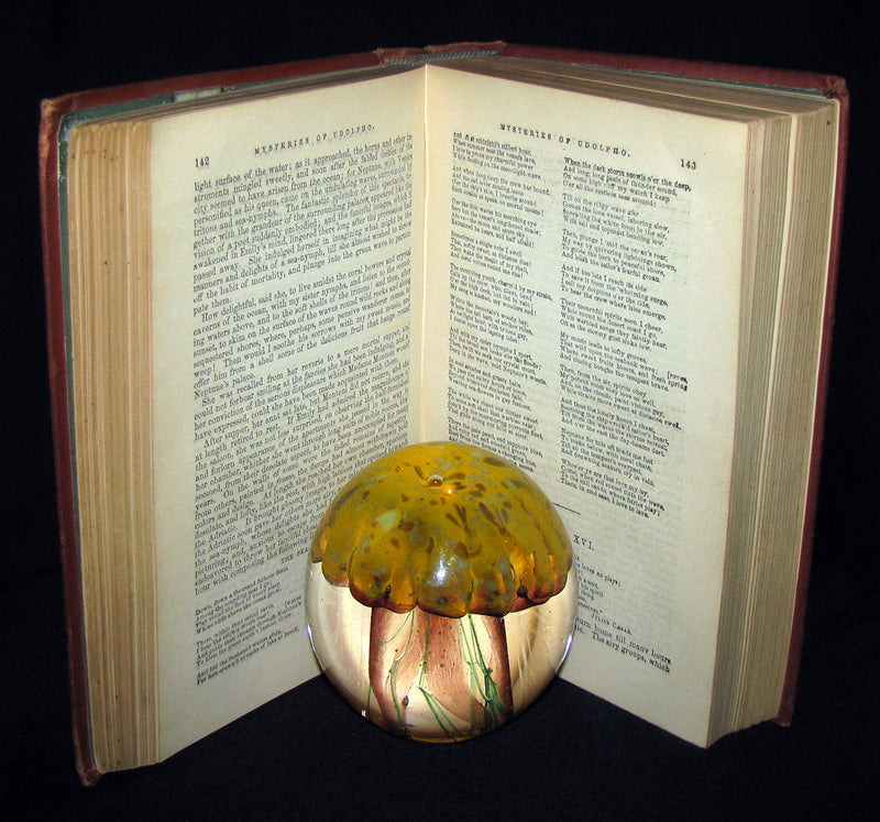 1880's Scarce Gothic Novel Edition -The Mysteries of Udolpho by Ann Radcliffe