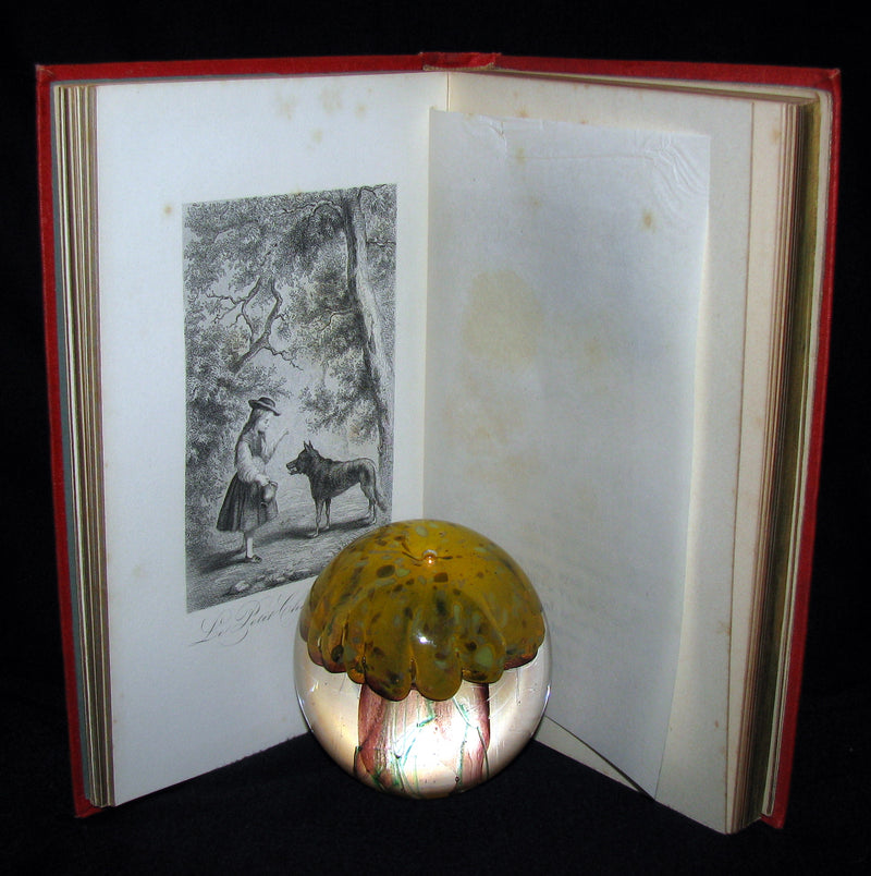 1890 Rare illustrated French Book ~ Contes de Perrault - Fairy Tales.