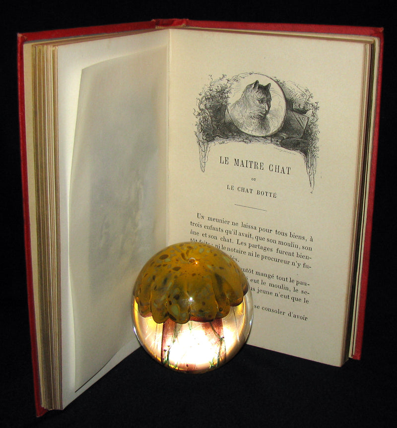 1890 Rare illustrated French Book ~ Contes de Perrault - Fairy Tales.