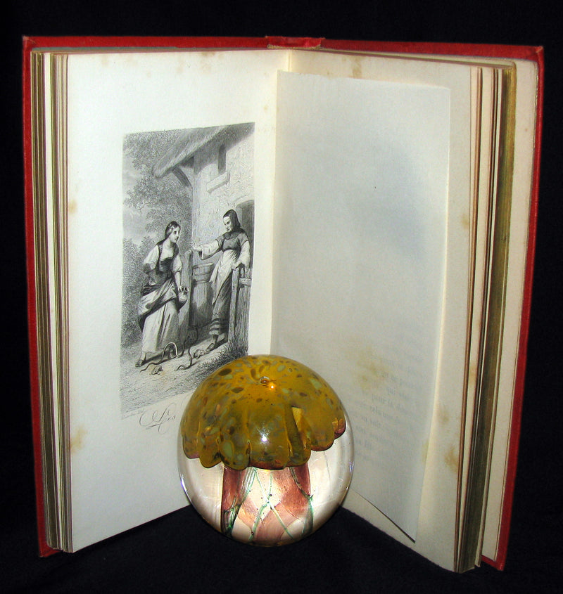 1890 Rare illustrated French Book ~ Contes de Perrault - Fairy Tales.