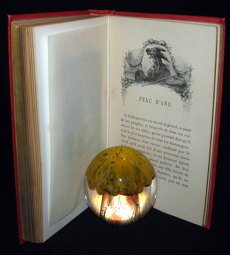 1890 Rare illustrated French Book ~ Contes de Perrault - Fairy Tales.