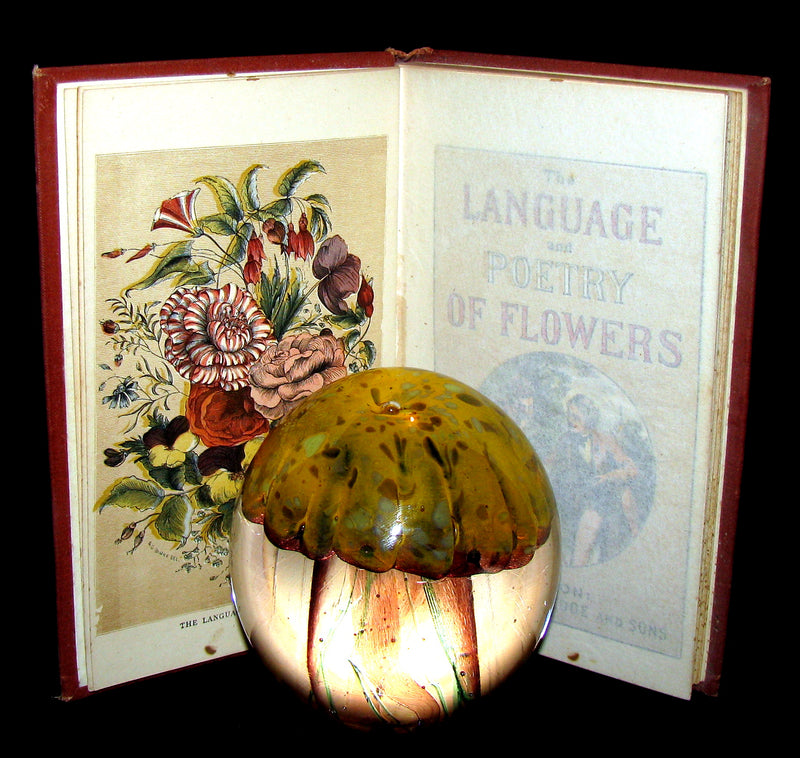1890 Scarce Book ~ The Language and Poetry of Flowers Illustrated by Mrs L. Burke