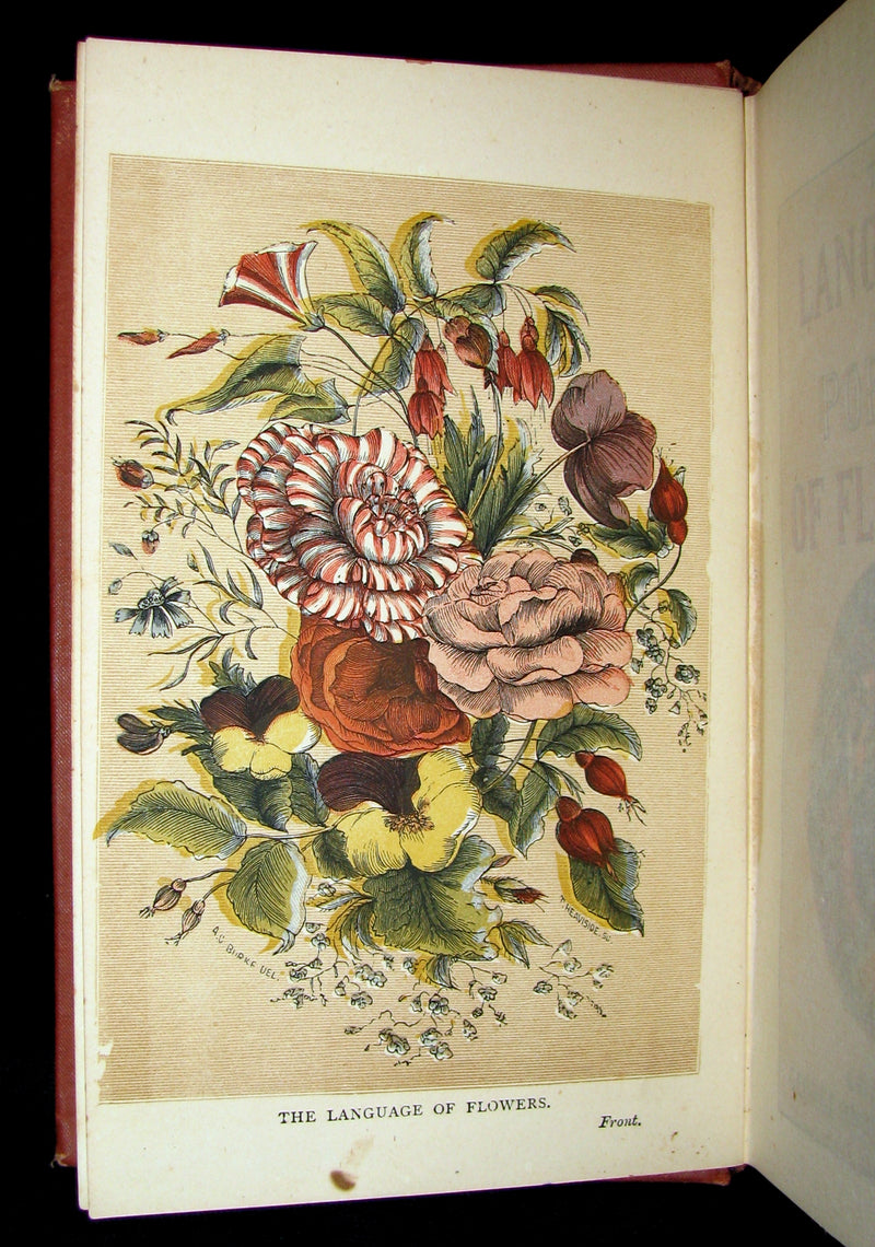 1890 Scarce Book ~ The Language and Poetry of Flowers Illustrated by Mrs L. Burke