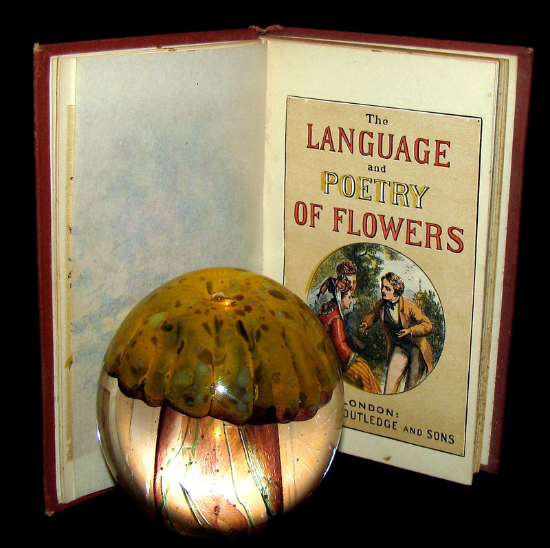 1890 Scarce Book ~ The Language and Poetry of Flowers Illustrated by Mrs L. Burke