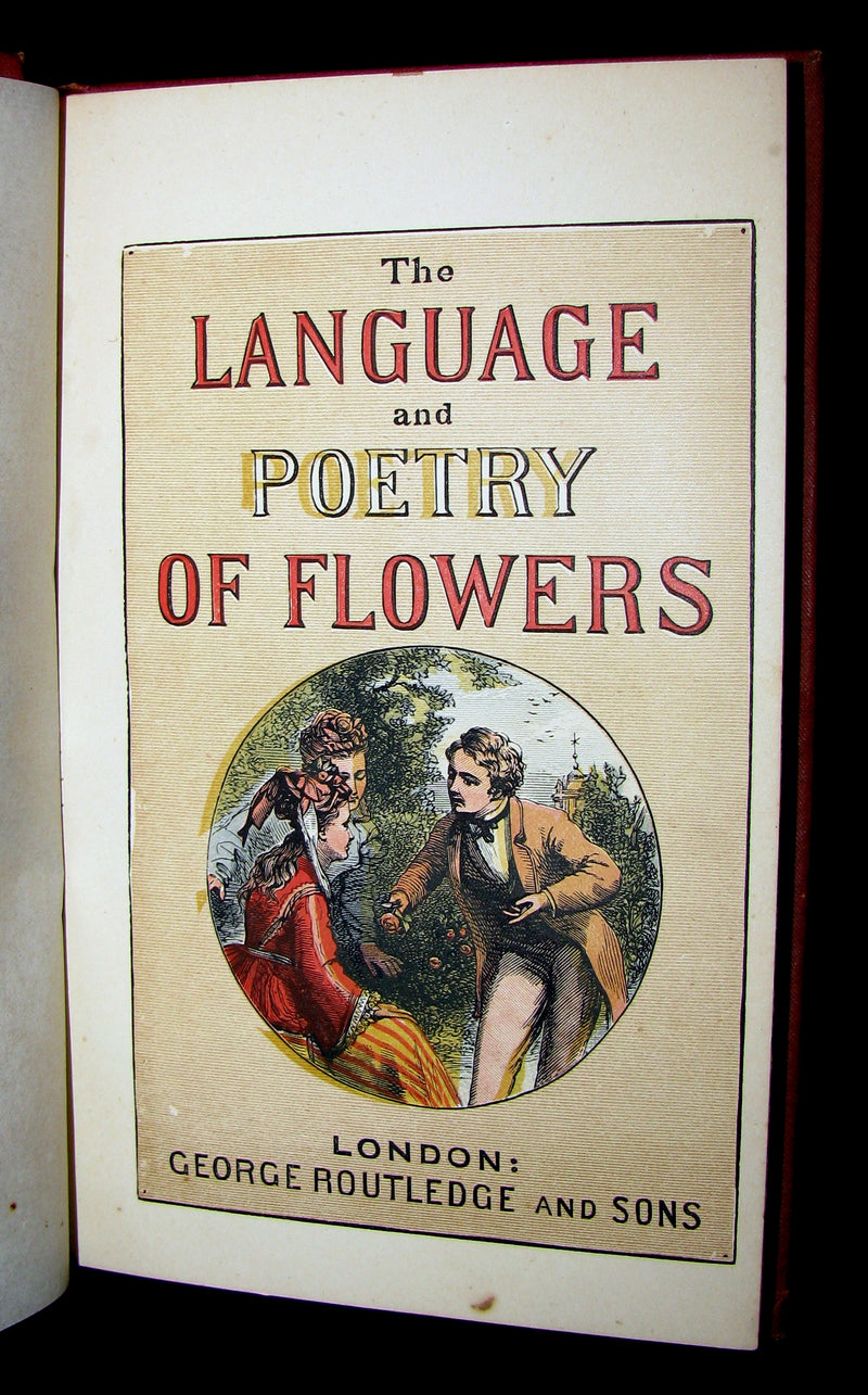 1890 Scarce Book ~ The Language and Poetry of Flowers Illustrated by Mrs L. Burke