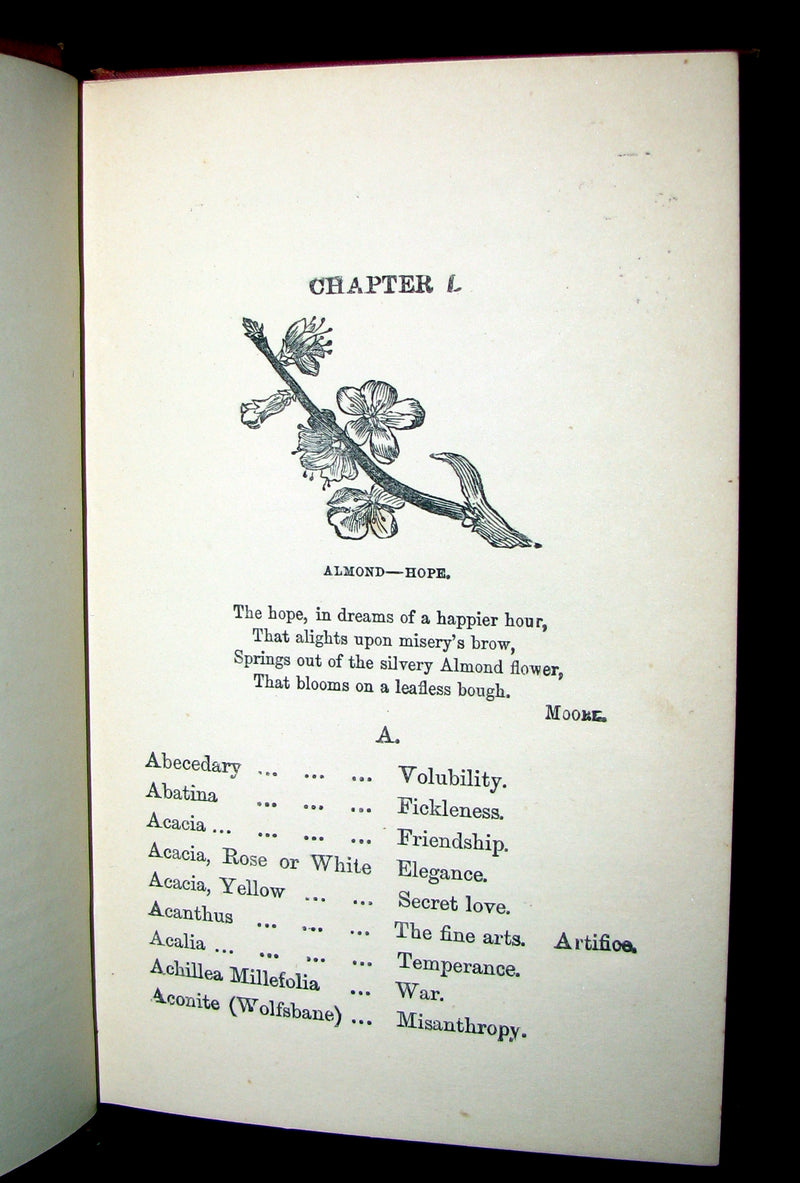 1890 Scarce Book ~ The Language and Poetry of Flowers Illustrated by Mrs L. Burke