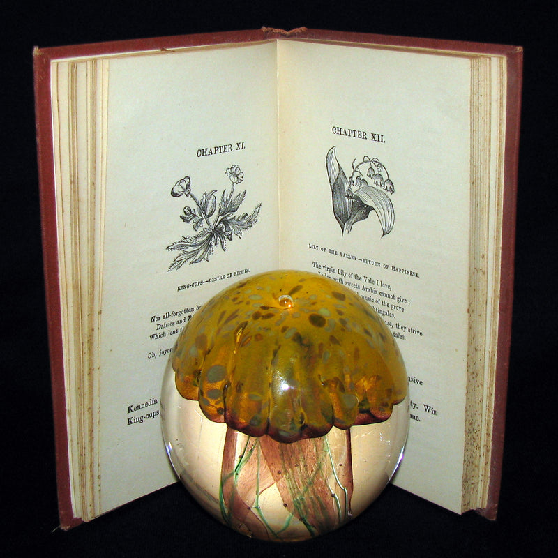 1890 Scarce Book ~ The Language and Poetry of Flowers Illustrated by Mrs L. Burke