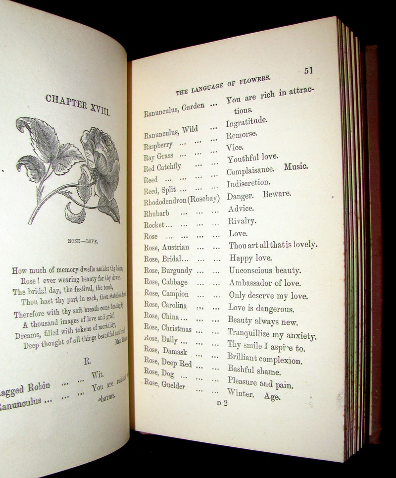 1890 Scarce Book ~ The Language and Poetry of Flowers Illustrated by Mrs L. Burke