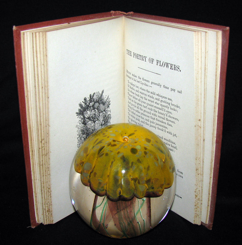 1890 Scarce Book ~ The Language and Poetry of Flowers Illustrated by Mrs L. Burke