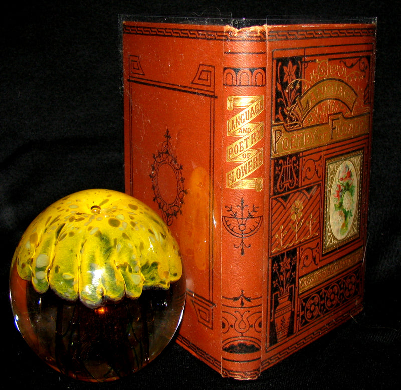 1890 Scarce Book ~ The Language and Poetry of Flowers Illustrated by Mrs L. Burke
