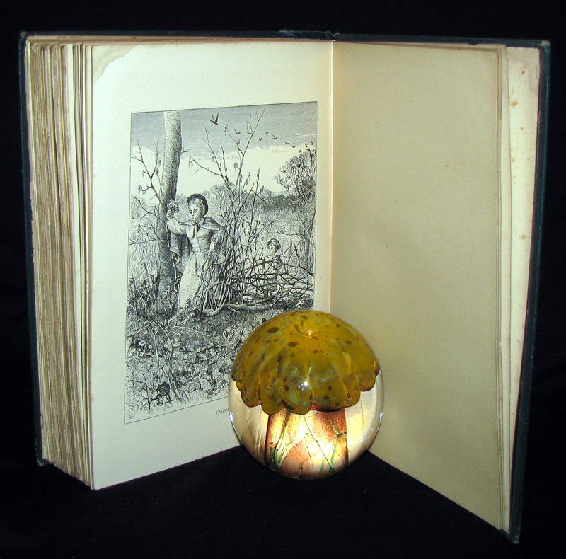 1881 Rare Victorian Book - Legends and Lyrics by Adelaide Anne Procter. Illustrated.