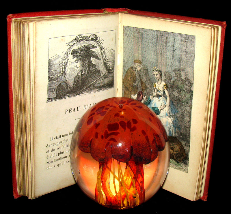 1890 Rare COLOR illustrated French Book ~ Contes des Fées by Perrault - Fairy Tales