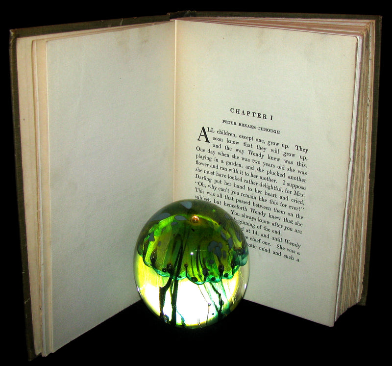 1911 Rare Book  - Peter Pan First Edition - Peter and Wendy by James Matthew Barrie