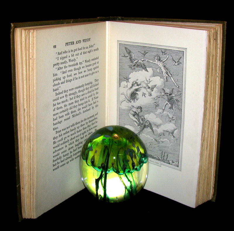 1911 Rare Book  - Peter Pan First Edition - Peter and Wendy by James Matthew Barrie