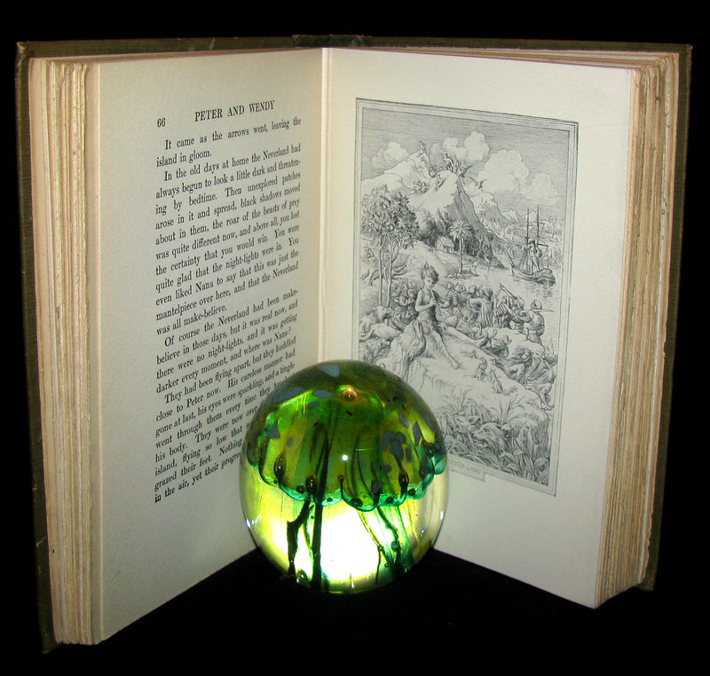 1911 Rare Book  - Peter Pan First Edition - Peter and Wendy by James Matthew Barrie