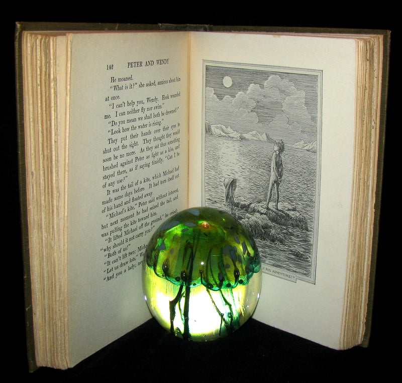 1911 Rare Book  - Peter Pan First Edition - Peter and Wendy by James Matthew Barrie