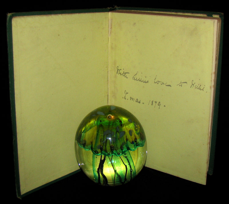 1879 Rare Third Edition - The Secret of the Island by Jules Verne. Illustrated.