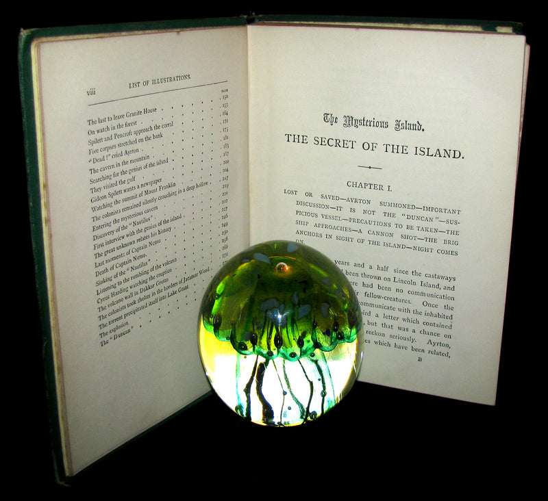 1879 Rare Third Edition - The Secret of the Island by Jules Verne. Illustrated.