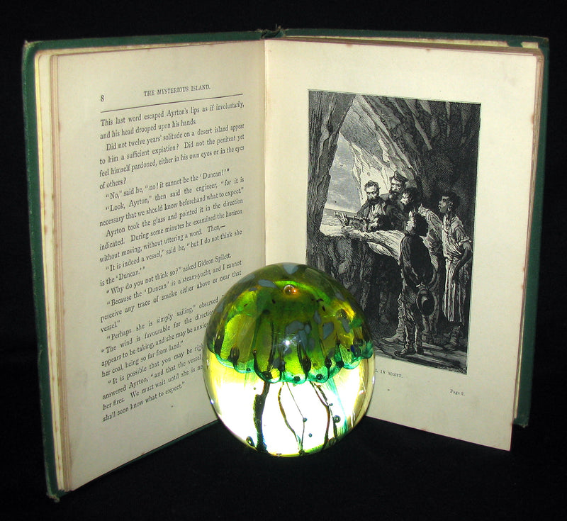 1879 Rare Third Edition - The Secret of the Island by Jules Verne. Illustrated.