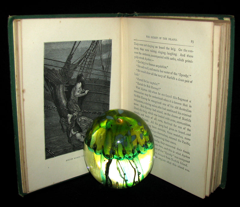1879 Rare Third Edition - The Secret of the Island by Jules Verne. Illustrated.